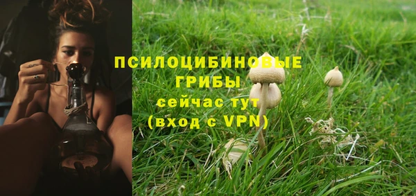 mdpv Мегион