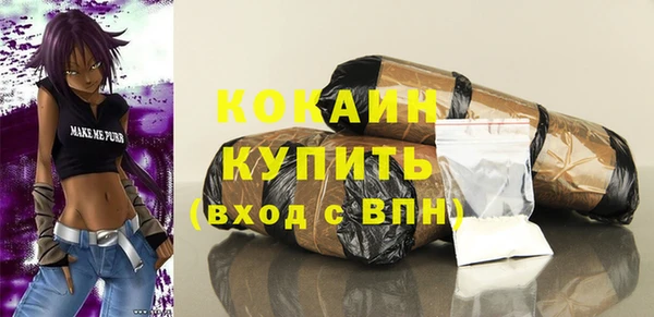 гидра Абаза