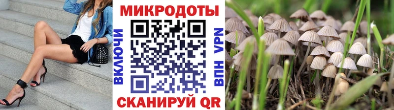 Псилоцибиновые грибы Magic Shrooms  KRAKEN вход  нарко площадка состав  Щучье 